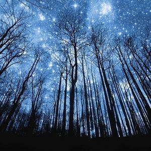 Meet your Posher, Dawn